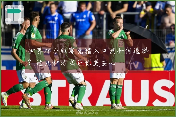 世界杯小组赛竞猜入口该如何选择？这几种方式让你更安心