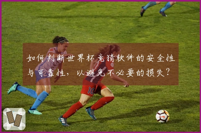 如何判断世界杯竞猜软件的安全性与可靠性，以避免不必要的损失？