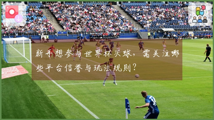 新手想参与世界杯买球，需关注哪些平台信誉与玩法规则？