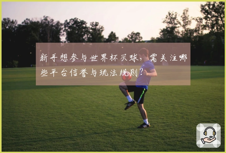 新手想参与世界杯买球，需关注哪些平台信誉与玩法规则？
