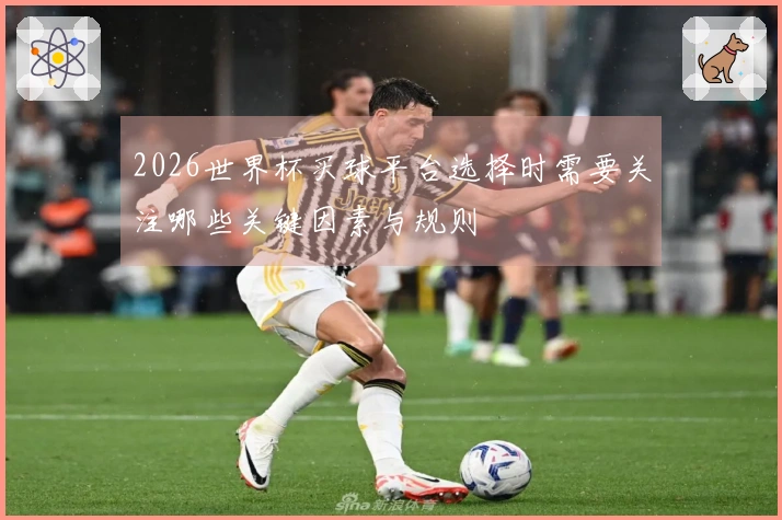 2026世界杯买球平台选择时需要关注哪些关键因素与规则